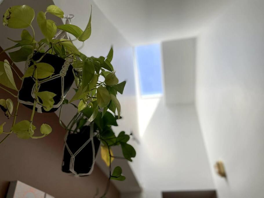 Everything You Could Ask For In A Rental ناشفيل المظهر الخارجي الصورة